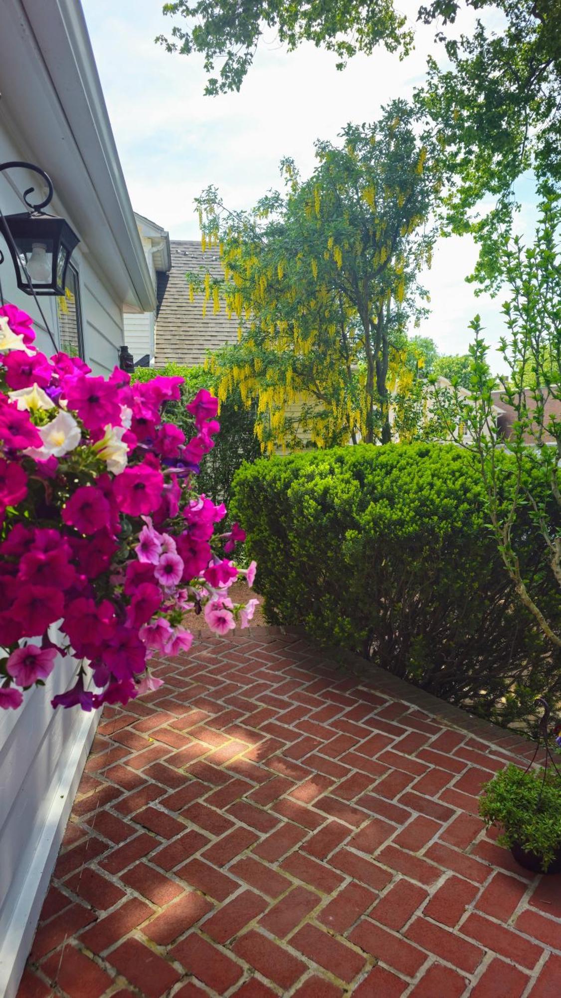 Bed & Breakfast Historic Wilson-guy House 3*