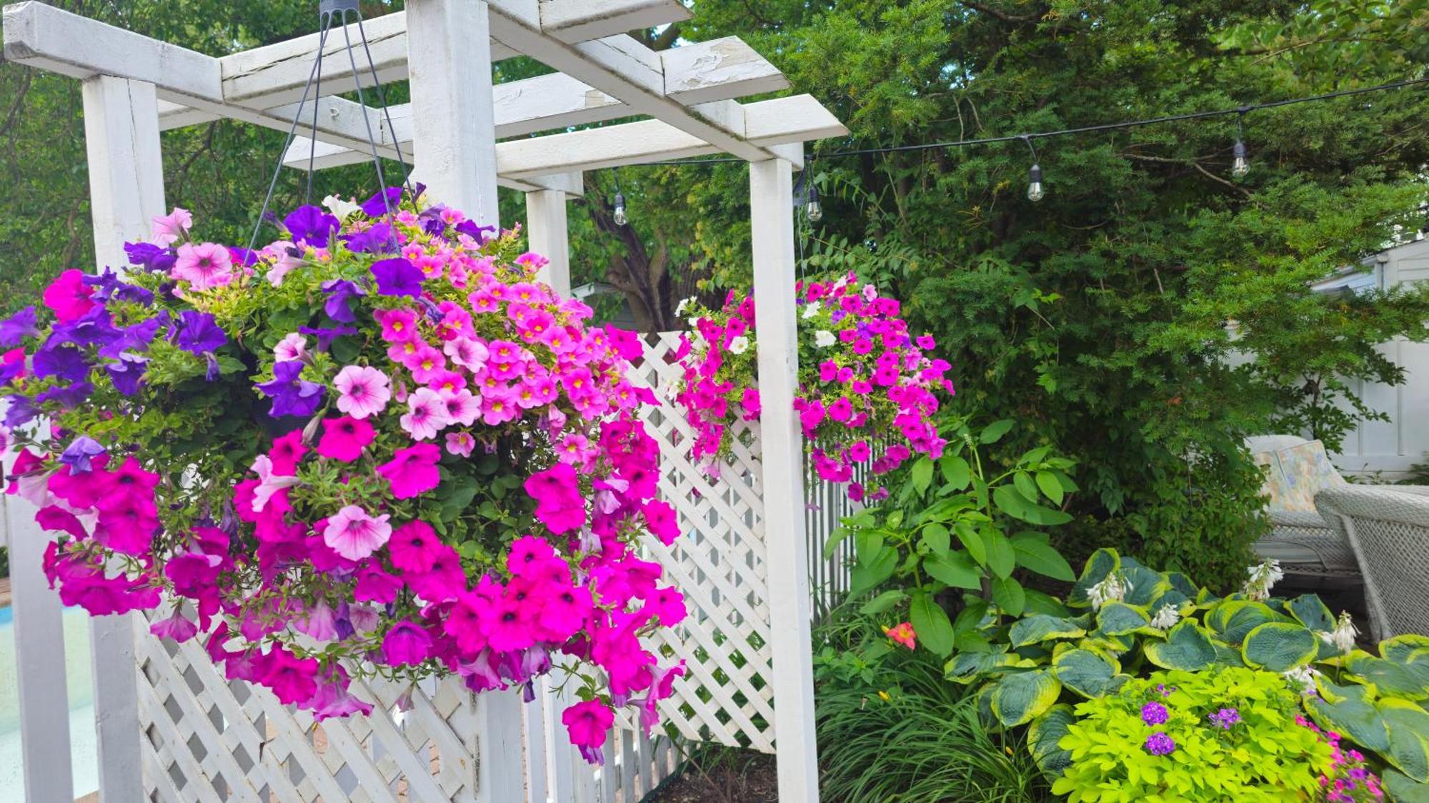 Bed & Breakfast Historic Wilson-guy House 3*